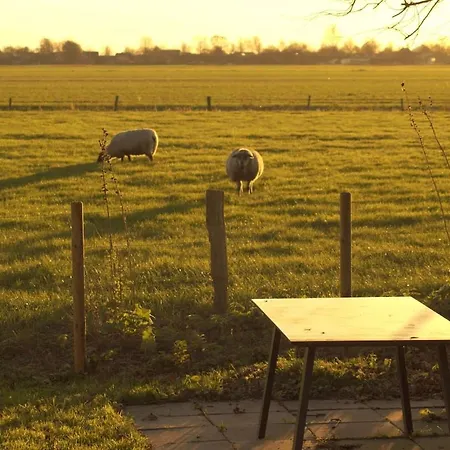 Neu In 130 Qm Grosser Garten * Friedrichskoog