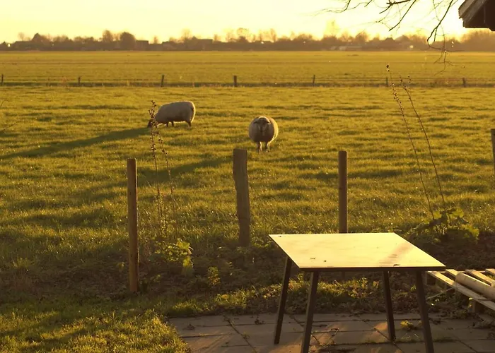 Neu In 130 Qm Grosser Garten * Friedrichskoog