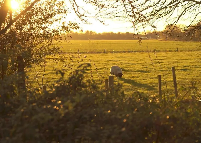 Neu In 130 Qm Grosser Garten Appartement *